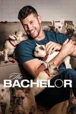 Season 26 poster