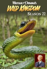 Season 22 poster