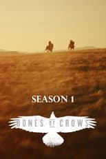 Miniseries poster