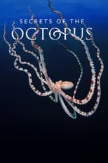 Miniseries poster