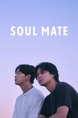 Limited Series poster
