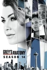 Season 14 poster