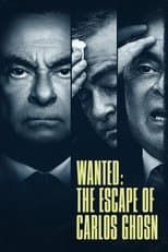 Miniseries poster