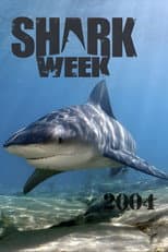 2004 poster
