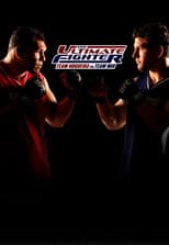 Team Nogueira vs. Team Mir poster