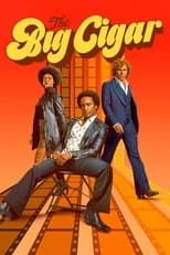 Miniseries poster
