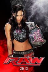 2013 poster