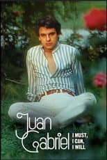 Limited Series poster