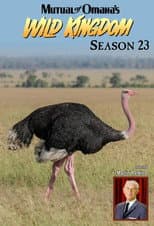 Season 23 poster
