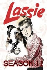 Season 11 poster