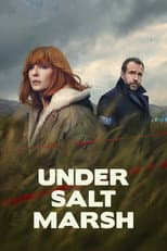 Miniseries poster