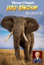 Season 16 poster