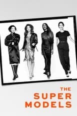 Miniseries poster