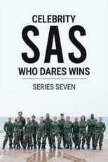 Series 7 poster