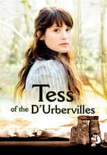 Miniseries poster