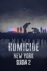 New York: Season 2 poster