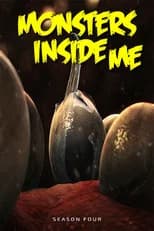 Season 4 poster