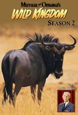 Season 2 poster