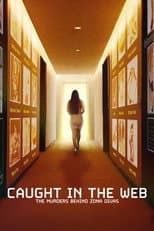Limited Series poster