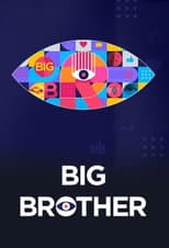 Big Brother 6 poster