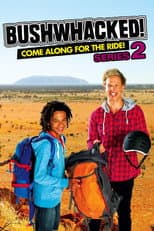 Series 2 poster