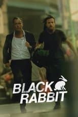 Limited Series poster