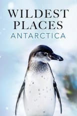 Wildest Antarctica poster