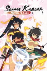 Ninja Flash poster