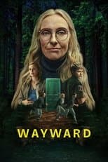 Limited Series poster