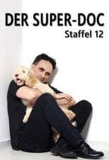 Season 12 poster