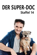 Season 14 poster