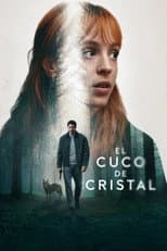 Limited Series poster