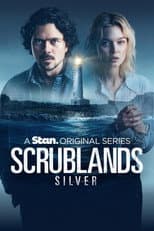 Silver poster