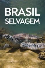Coastline of Brazil poster