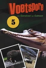 Van Gansbaai tot Gaboen poster