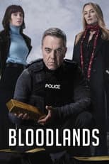 Series 2 poster