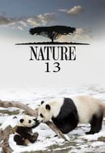 Season 13 poster