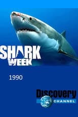 1990 poster
