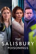 Miniseries poster