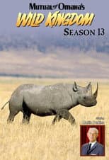 Season 13 poster