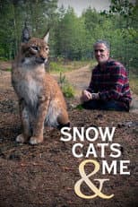 Miniseries poster