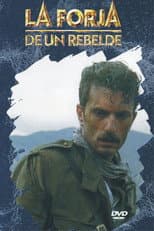 Miniseries poster