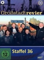 Season 36 poster