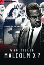 Miniseries poster