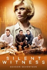 Series 17 poster