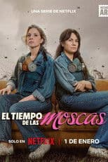 Miniseries poster