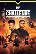 Vets and New Threats poster