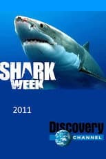 2011 poster