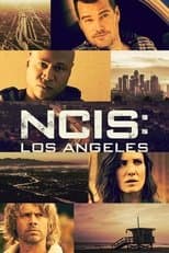 Season 13 poster