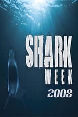 2008 poster